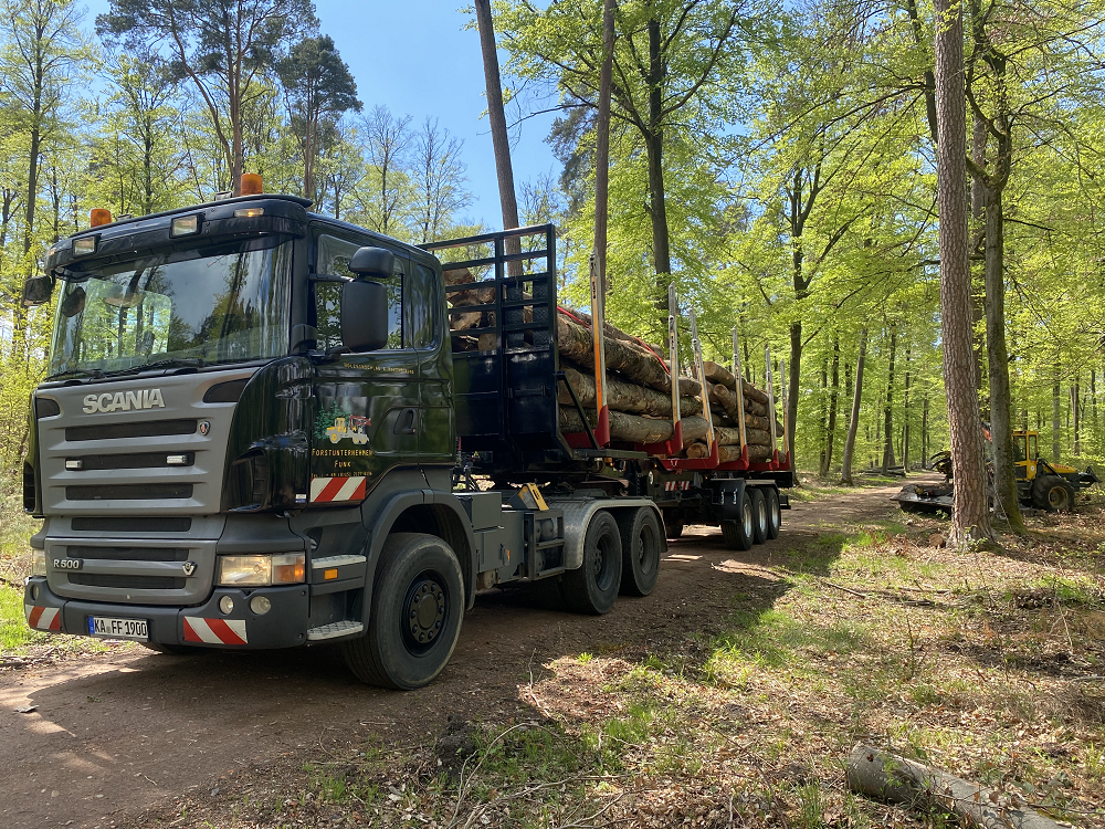 Holz wird von LKW abtransportiert